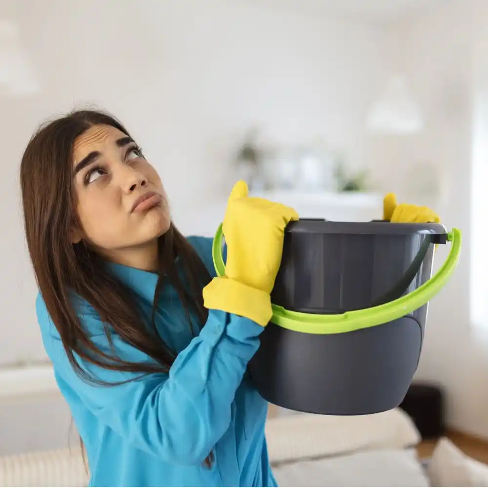 water damage restoration service Troy